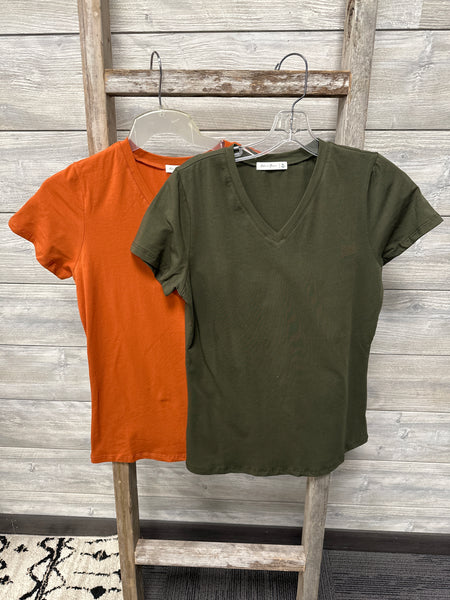 Plus Basic V Neck T