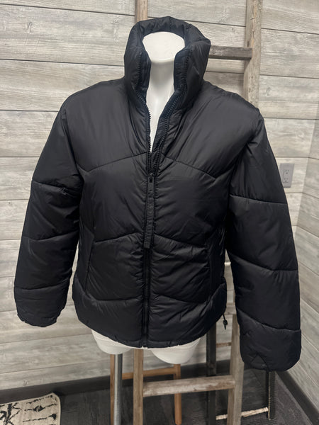 B Young Black Puffer