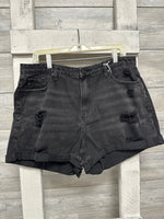 Plus Kancan Black Shorts