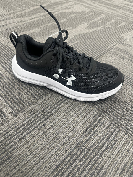 UA BGS Assert 10